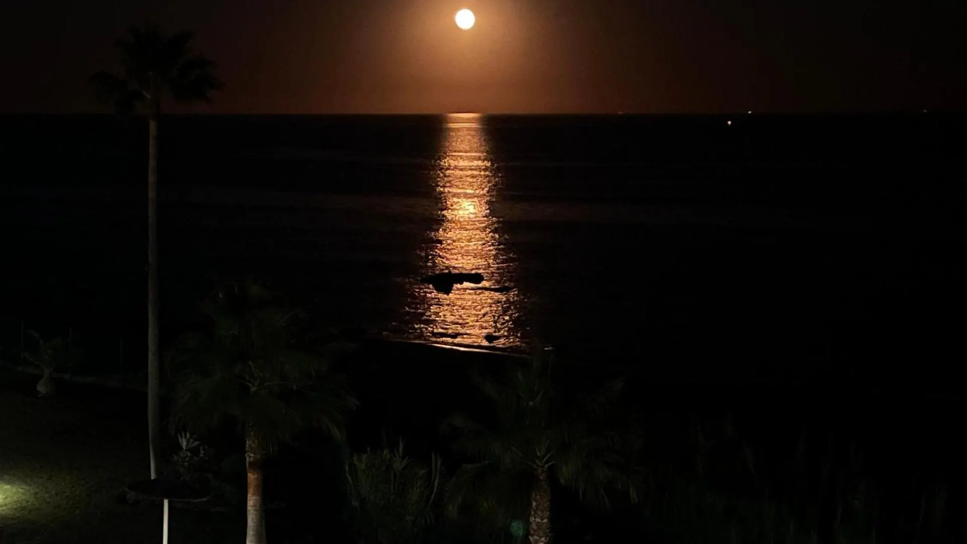 Exclusive Luxury Frontline Beach Penthouse Casares Del Mar - Estepona location